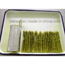 Canned Food 430g Canned Green Asparagus in Tin